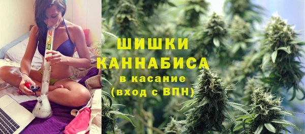 дживик Баксан