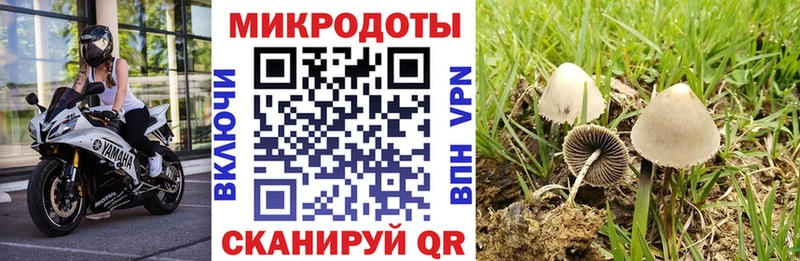 Галлюциногенные грибы прущие грибы Черняховск