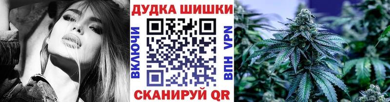 Конопля планчик где купить наркоту Черняховск